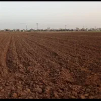 زمین کشاورزی اجاره داده میشود