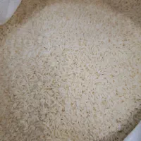 فروش برنج هاشمی کوجنق عمده و خرده