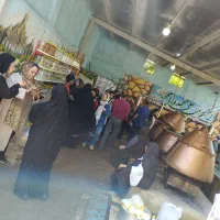 تور مشهد