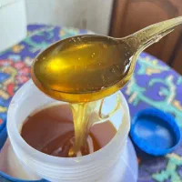 عسل ارگانیک درجه یک