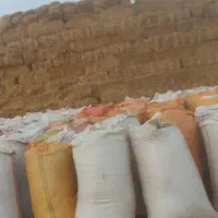 کاه نرم درجه ۱ گندم|حیوانات مزرعه|گنبد کاووس, |دیوار