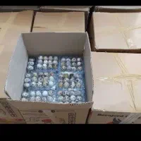 تولید کننده تخم بلدرچین تخم مرغ رسمی
