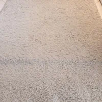 فرش شگی سالم