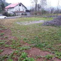 زمین مسکونی