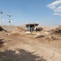 کارگاه خرد کنی چوب