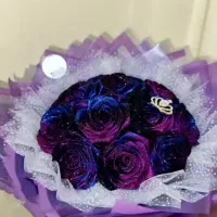 کلکسیون گل ها و باکسای کهکشانی