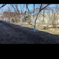 باغبانی سمپاشی هرس تیلر درختکاری گل کود بیل زدن|خدمات باغبانی و درختکاری|مشهد, توس (بلوار توس)|دیوار