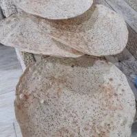 نان خشک تنور گلی