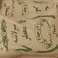 برنج سرلاشه طارم بهترین کیفیت