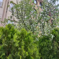 فروش آپارتمان ۵۸ متری ۱ خوابه در شهید رجایی