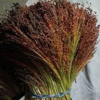 جارو خانگی ذراتی
