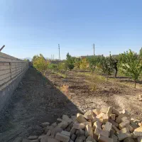 منطقه-ویلایی-آزاد-مرز-اباد-کوچه-ارغوان