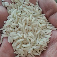 برنج هاشمی گیلان|خوردنی و آشامیدنی|تهران, سردارجنگل|دیوار