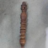 تنه چوبی سالم