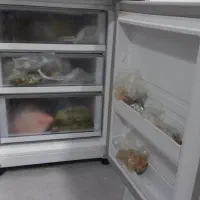 یخچال فریزر سینجر|یخچال و فریزر|تهران, مشیریه|دیوار