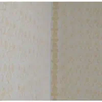 نقاشی ساختمان طرح کاغذ دیواری|خدمات پیشه و مهارت|سنندج, |دیوار