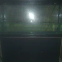 آکواریوم در حد نو|ماهی|یزد, |دیوار