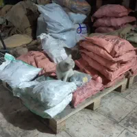 گربه|گربه|برخوار, |دیوار