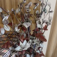 گل و میوه خوره|صنایع دستی و سایر لوازم تزئینی|بندر انزلی, لیچارگی حسن رود|دیوار