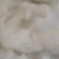 الیاف سفید