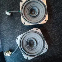 سالم کارخونه