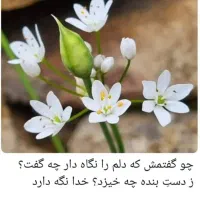 فروش سیم کارت4486846 917