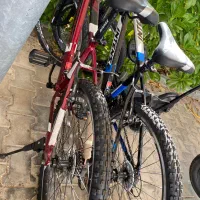 اجاره دوچرخه