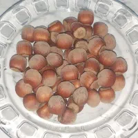 فندق ارگانیک درشت|خوردنی و آشامیدنی|رستم‌آباد, |دیوار