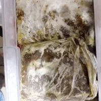 سبزی سرخ شده قورمه آشی کوکو|خوردنی و آشامیدنی|اهواز, نادری|دیوار