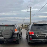 راننده شخصی با ضمانت