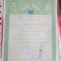 زمین در محسن آبادروبروی کچوییه فوری متری700