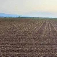 زمین-باغی-ویلای