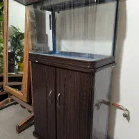 اکواریوم شرکتی ماهیران شیشه خم