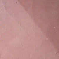موکت