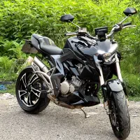 موتور 1402 Z4 250cc