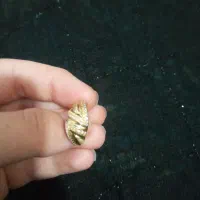 طلا درحد نو