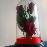 گل شیشه‌ای|گل مصنوعی|تبریز, |دیوار