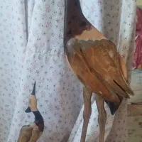 مجسمه لک لک