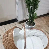 سبد حصیری نوزاد|تخت و صندلی بچه|یزد, |دیوار
