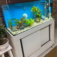 آکواریوم شیک و مجهز