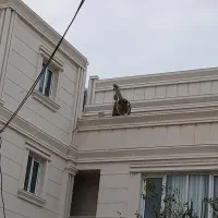 بنای ساختمان