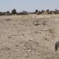 زمین مسکونی