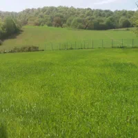 زمین کشاورزی دیمی