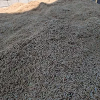 برنج فجر اعلا