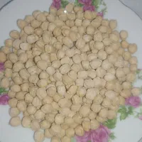 نخود خوش پخت امسال درشت و زودپز