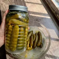خیارشور|خوردنی و آشامیدنی|قم, حاج خلیل|دیوار