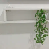 میزتلویزیون شیک وزیبا|میز تلویزیون|فیروزه, |دیوار