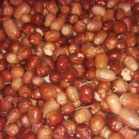 آویشن و عسل اصل|خوردنی و آشامیدنی|جرقویه, |دیوار