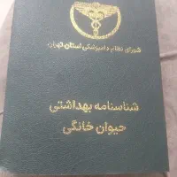 واگذاری سگ