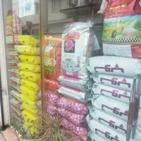 انواع برنج هندی و پاکستانی